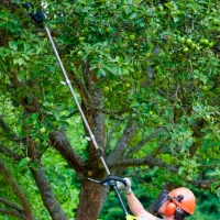 Bară pentru fierăstrău Ryobi RXPR01 photo 2