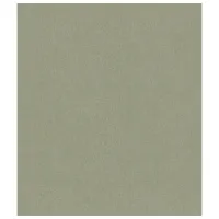 Обои Parato Сафари Зеленый / Декор