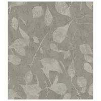 Tapete Parato Safari Grey / Natură