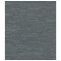 Обои Parato Сафари Тёмно-серый / Штукатурка