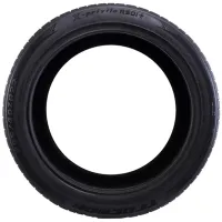 Шины TracMax X-Privilo RS01+ 315/35 ZR22 111Y XL TL Лето / Внедорожник photo 3