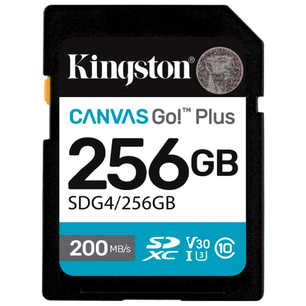 Карта памяти Kingston Canvas Go! Plus Gen 4 256 ГБ SD / UHS-I (U3) photo 1