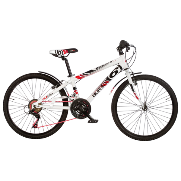 Велосипед Dino Bikes Fast Boy 24"  Сталь / Белый Черный photo 1
