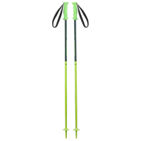 Bețe de ski unisex Elan Hot Rod JR Green / Aluminiu