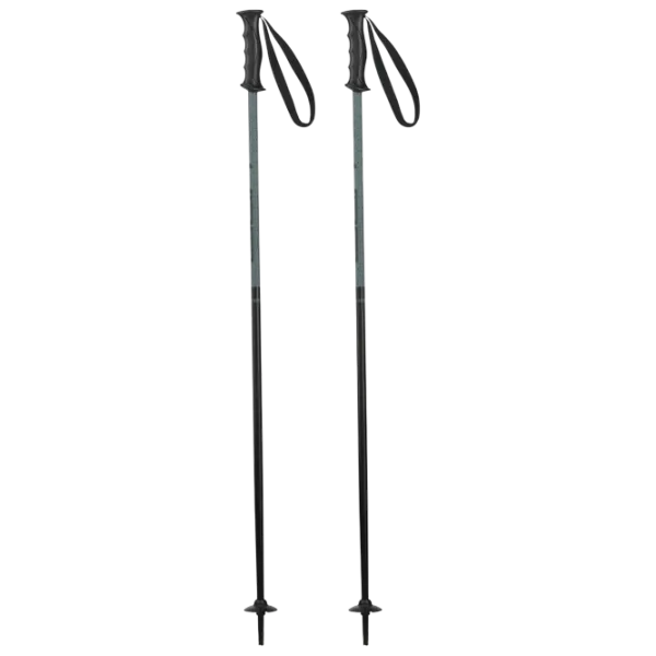 Bețe de ski unisex Elan Hot Rod JR Black / Aluminiu photo 1
