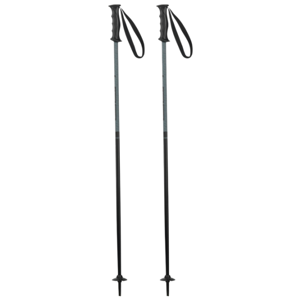 Bețe de ski unisex Elan Hot Rod JR Black / Aluminiu photo 1
