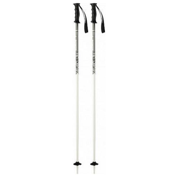 Bețe de ski unisex Elan SP Hot Rod JR Anthracite / Aluminiu photo 1