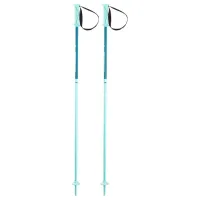 Bețe de ski unisex Elan Hot Rod JR Mint / Aluminiu