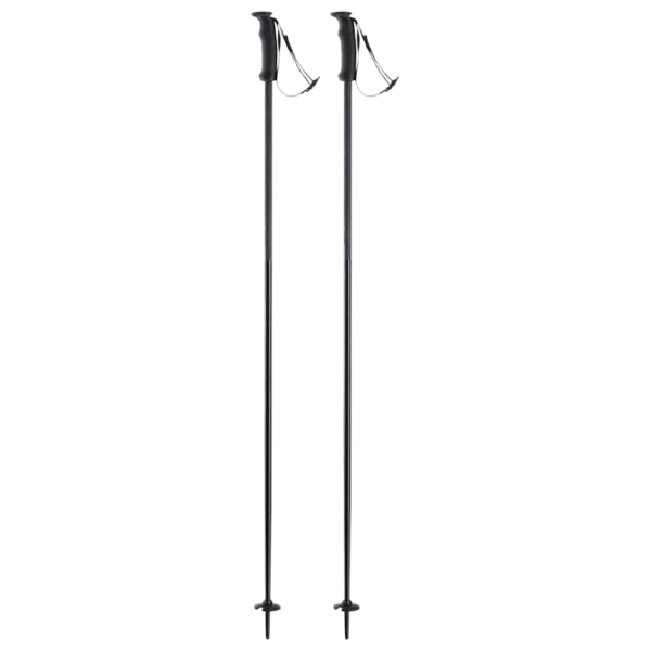 Bețe de ski unisex Elan Speed Rod Black / Aluminiu photo 1