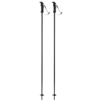 Bețe de ski unisex Elan Speed Rod Black / Aluminiu