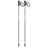 Bețe de ski unisex Elan Carbon Rod Black / Aluminiu