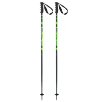 Bețe de ski unisex Elan Speed Rod Green / Aluminiu