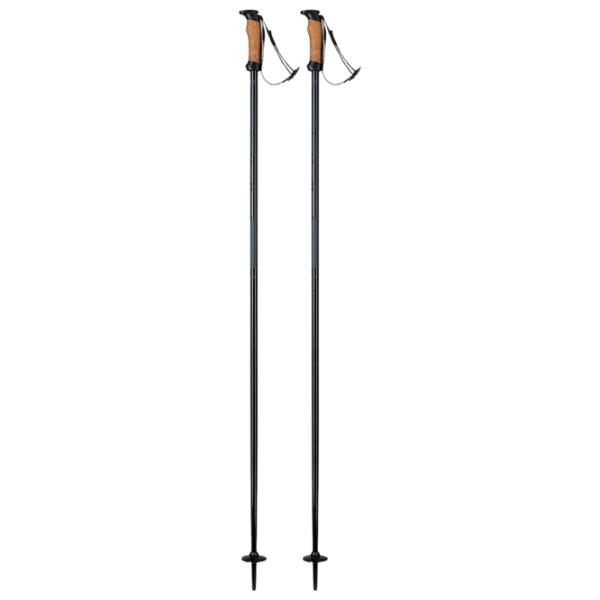 Лыжные палки унисекс Elan Speed Rod Черный / Алюминий photo 1