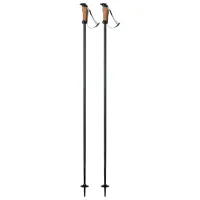 Bețe de ski unisex Elan Speed Rod Black / Aluminiu