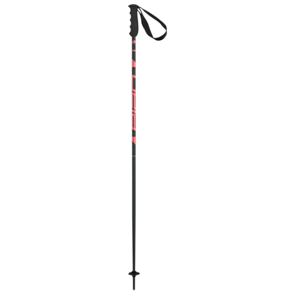 Bețe de ski unisex Elan Speed Rod W Black / Aluminiu photo 2
