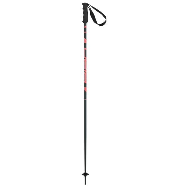 Bețe de ski unisex Elan Speed Rod W Black / Aluminiu photo 2
