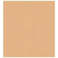 Обои Parato Vintage  Коричневый / Флористика