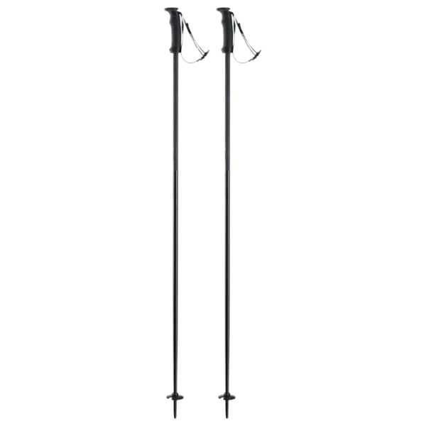 Лыжные палки унисекс Elan Speed Rod Черный / Алюминий photo 1