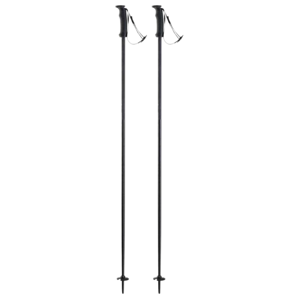 Лыжные палки унисекс Elan Speed Rod Черный / Алюминий photo 1