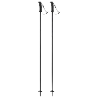 Bețe de ski unisex Elan Speed Rod Black / Aluminiu