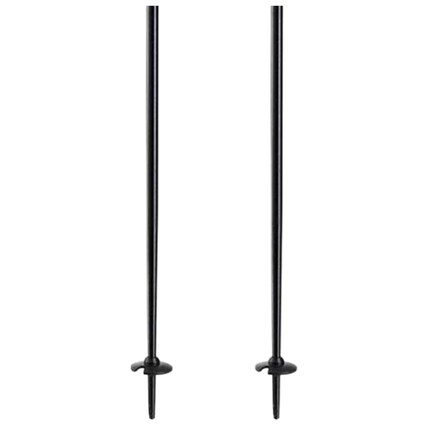Лыжные палки унисекс Elan Speed Rod Черный / Алюминий photo 2