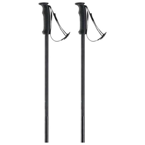Лыжные палки унисекс Elan Speed Rod Черный / Алюминий photo 3