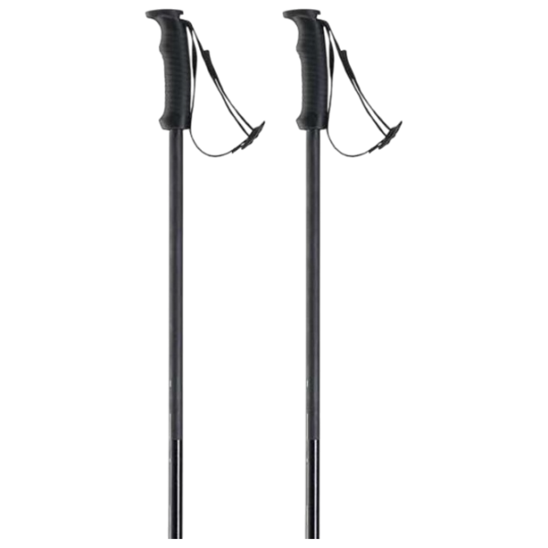Лыжные палки унисекс Elan Speed Rod Черный / Алюминий photo 3