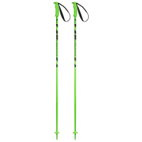 Bețe de ski unisex Elan Hot Rod Green / Aluminiu