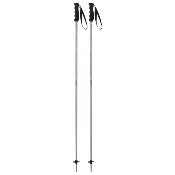 Лыжные палки для женщин Elan Speed Rod W Пурпурный / Алюминий photo 1