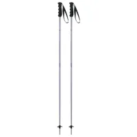 Bețe de ski pentru femei Elan Speed Rod W Purple / Aluminiu