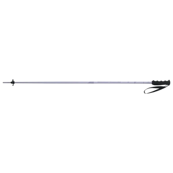 Лыжные палки для женщин Elan Speed Rod W Пурпурный / Алюминий photo 2