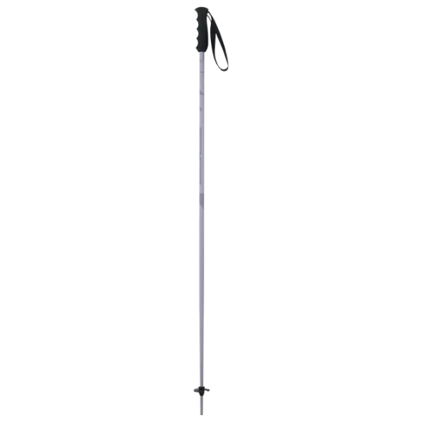 Лыжные палки для женщин Elan Speed Rod W Пурпурный / Алюминий photo 4