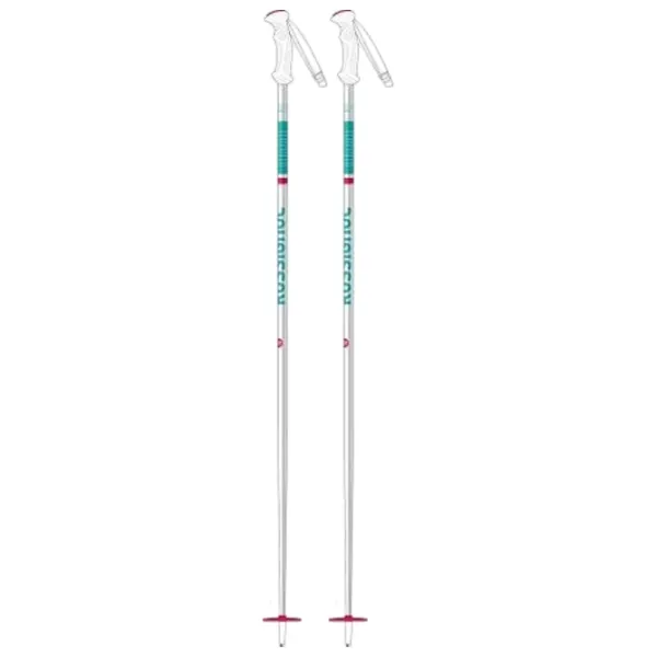 Bețe de ski unisex Rossignol Famous JR Blue / Aluminiu photo 1