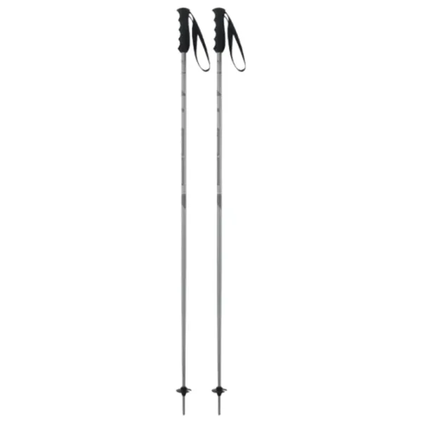 Bețe de ski unisex Elan Speed Rod Gray / Aluminiu photo 1