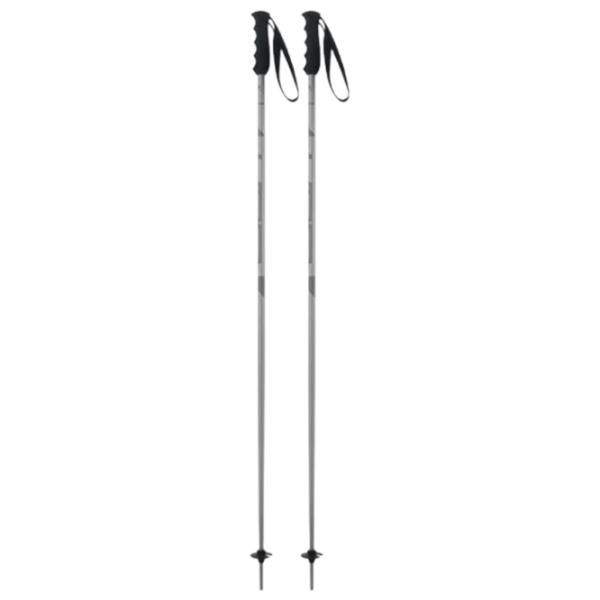 Bețe de ski unisex Elan Speed Rod Gray / Aluminiu photo 1