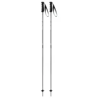 Bețe de ski unisex Elan Speed Rod Gray / Aluminiu