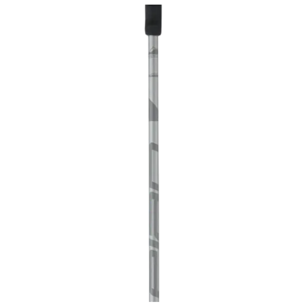 Bețe de ski unisex Elan Speed Rod Gray / Aluminiu photo 2