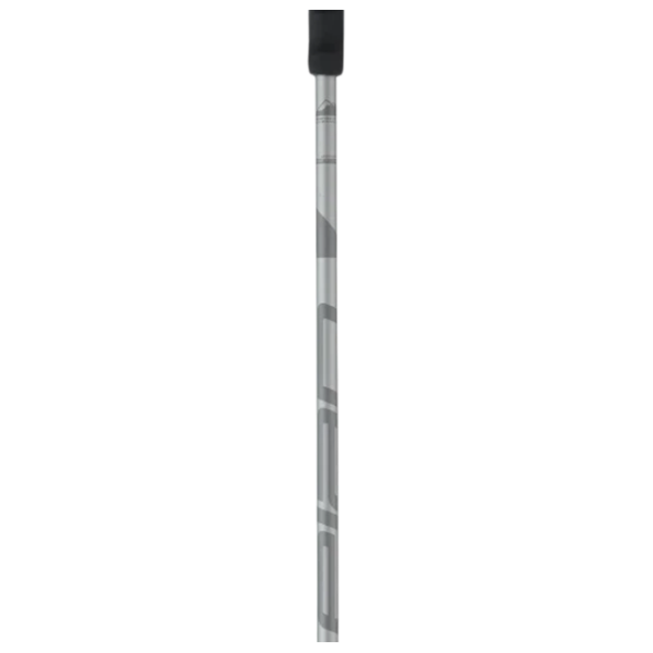 Bețe de ski unisex Elan Speed Rod Gray / Aluminiu photo 2