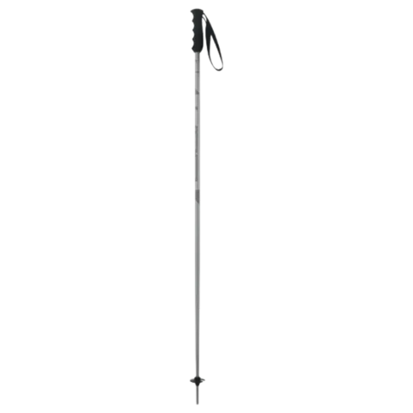 Bețe de ski unisex Elan Speed Rod Gray / Aluminiu photo 3