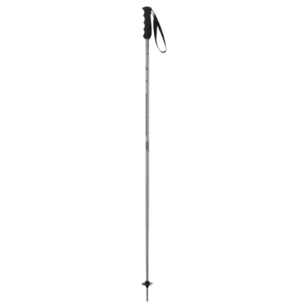 Bețe de ski unisex Elan Speed Rod Gray / Aluminiu photo 3