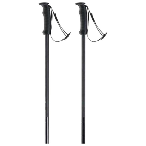Bețe de ski unisex Elan Speed Rod Black / Aluminiu photo 2