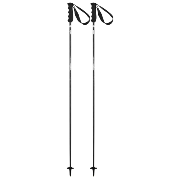 Bețe de ski unisex Elan Carbon Rod Black / Aluminiu photo 1