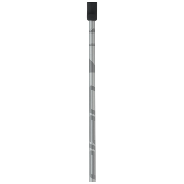 Лыжные палки унисекс Elan Speed Rod Серый / Алюминий photo 2