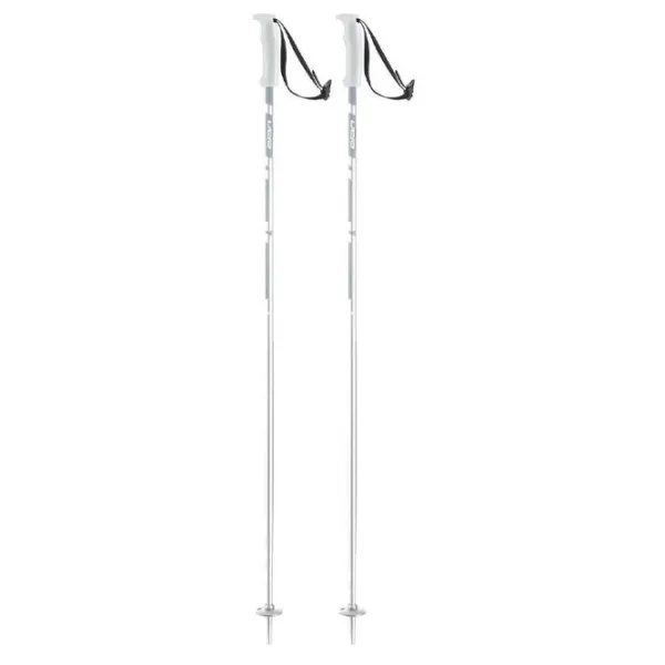 Bețe de ski unisex Elan Hot Rod W White / Aluminiu photo 1