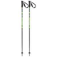 Bețe de ski unisex Elan Speed Rod Green / Aluminiu