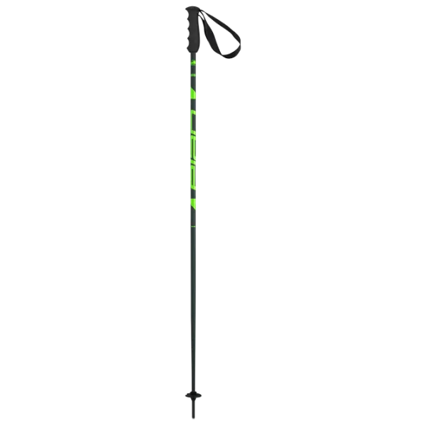 Bețe de ski unisex Elan Speed Rod Green / Aluminiu photo 2
