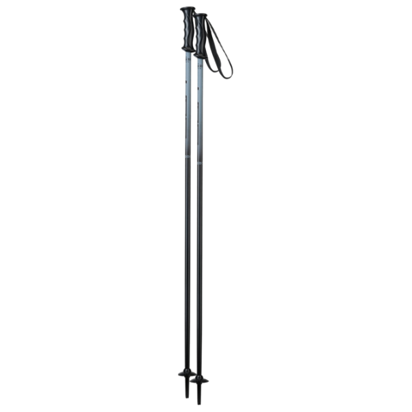 Bețe de ski unisex Elan Rock Rod JR Black / Aluminiu photo 1