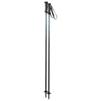 Bețe de ski unisex Elan Rock Rod JR Black / Aluminiu