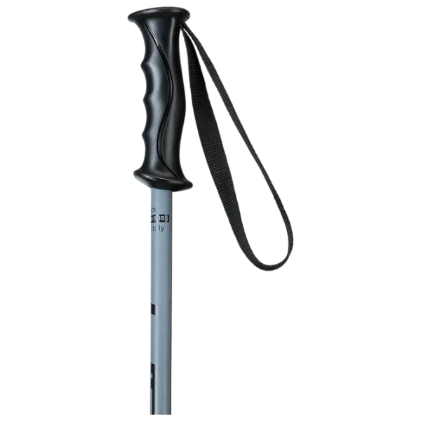 Bețe de ski unisex Elan Rock Rod JR Black / Aluminiu photo 2