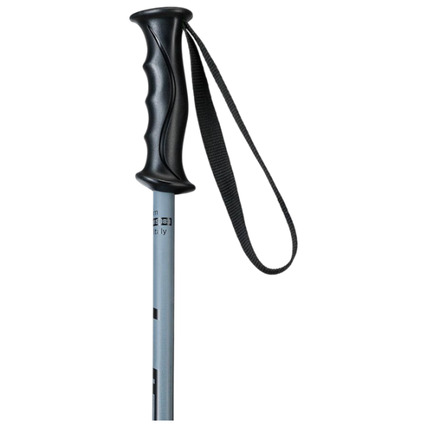 Bețe de ski unisex Elan Rock Rod JR Black / Aluminiu photo 2